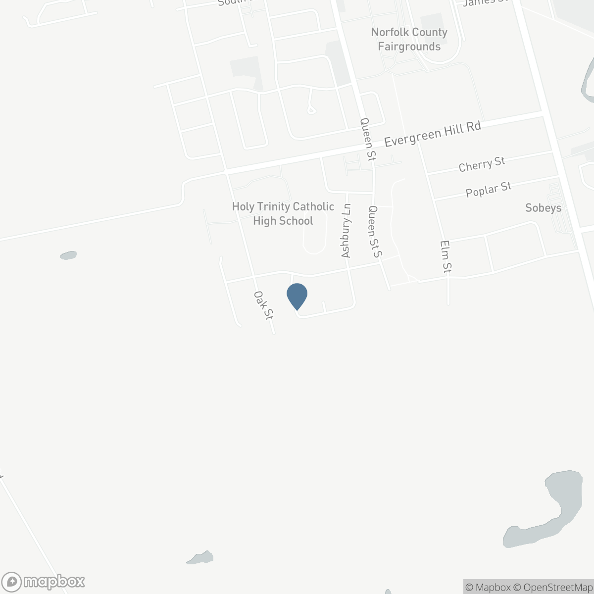 98 ALLANDALE Crescent, Simcoe, Ontario N3Y 0B4